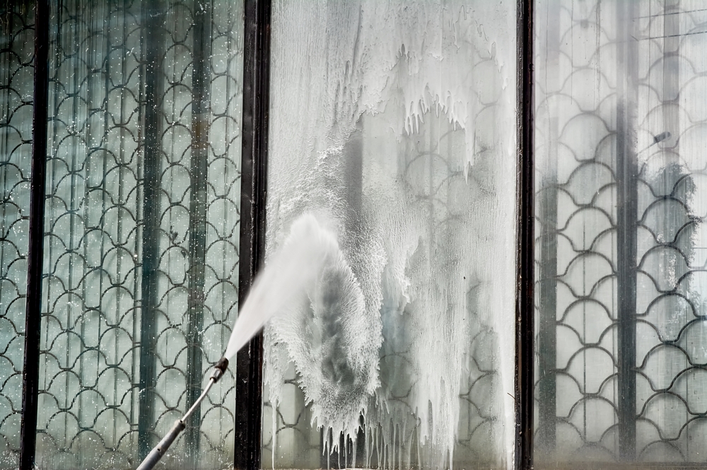 Soft Washing